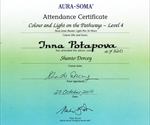 Сертифікат четвертого рівня «Колір і світло на шляху»