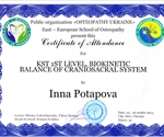 Сертифікат з краніосакральної терапії